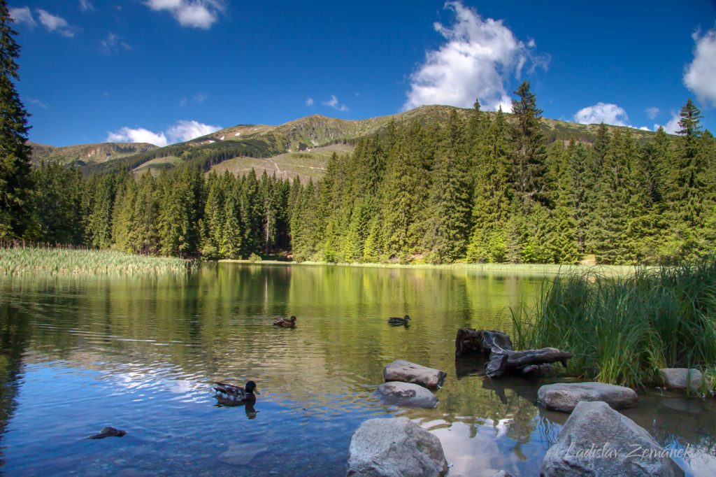 Nízké Tatry - Vrbické pleso