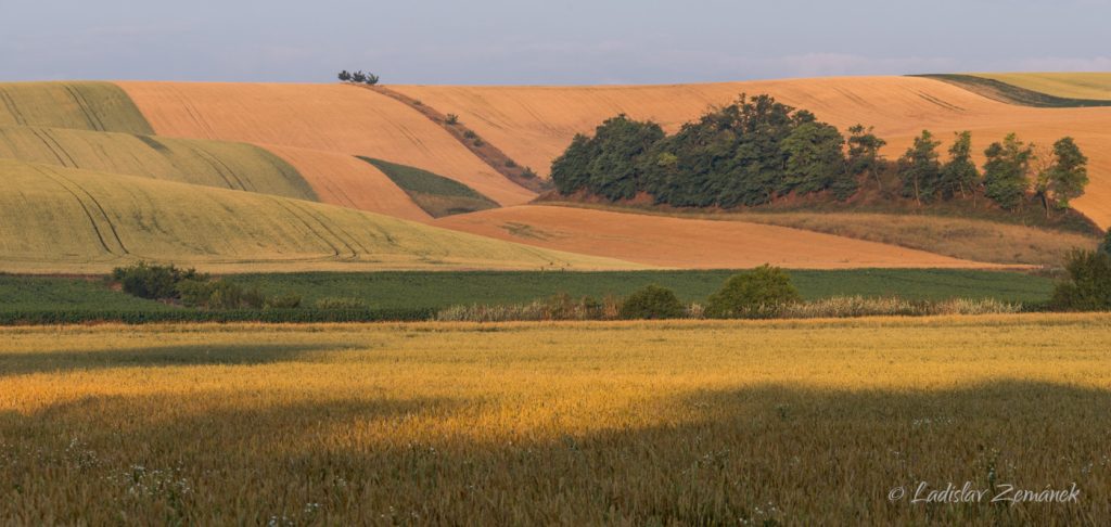 Moravské Toskánsko - Šardice