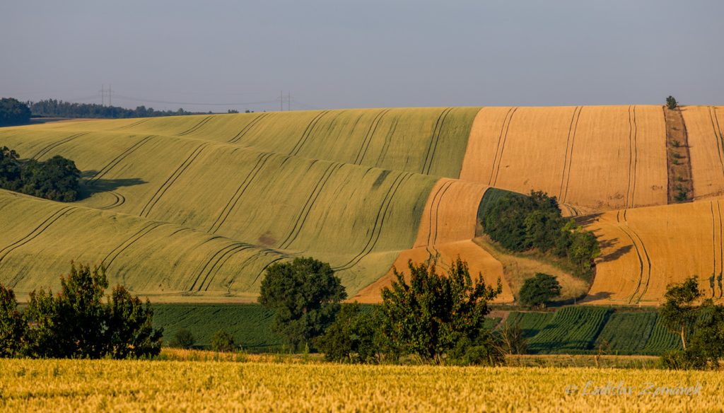 Moravské Toskánsko - Šardice