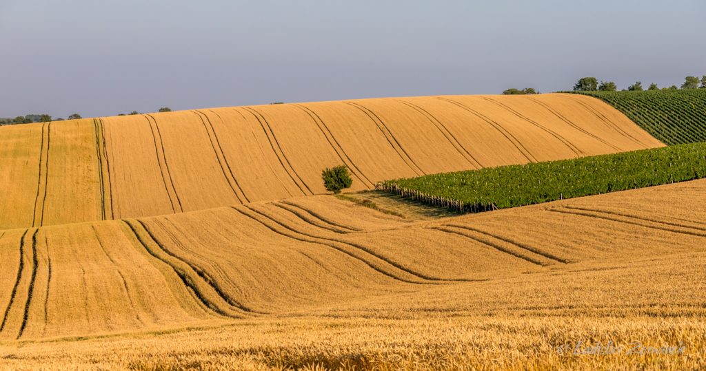 Moravské Toskánsko