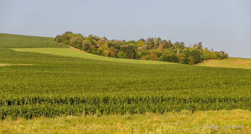 Moravské Toskánsko