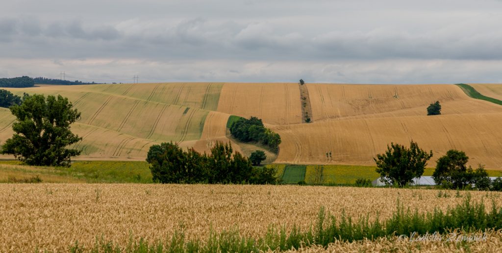 Moravské Toskánsko - Šardice