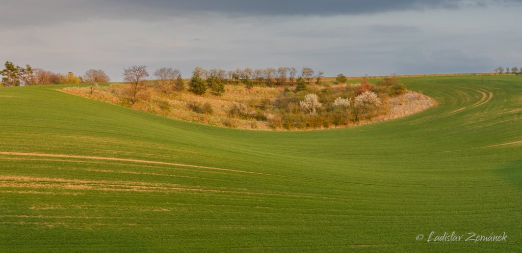 Moravské Toskánsko - Šardice