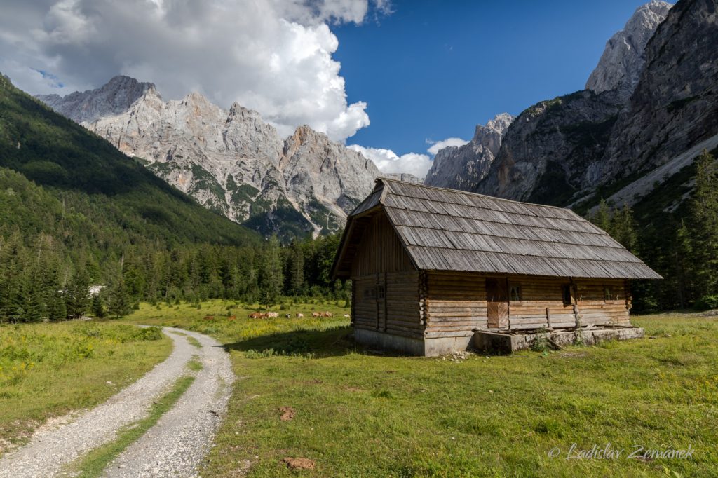 Kranjska Gora - pastvina