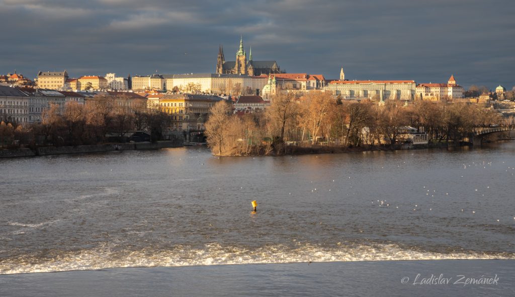 Vltava, Střelecký ostrov a Pražský hrad