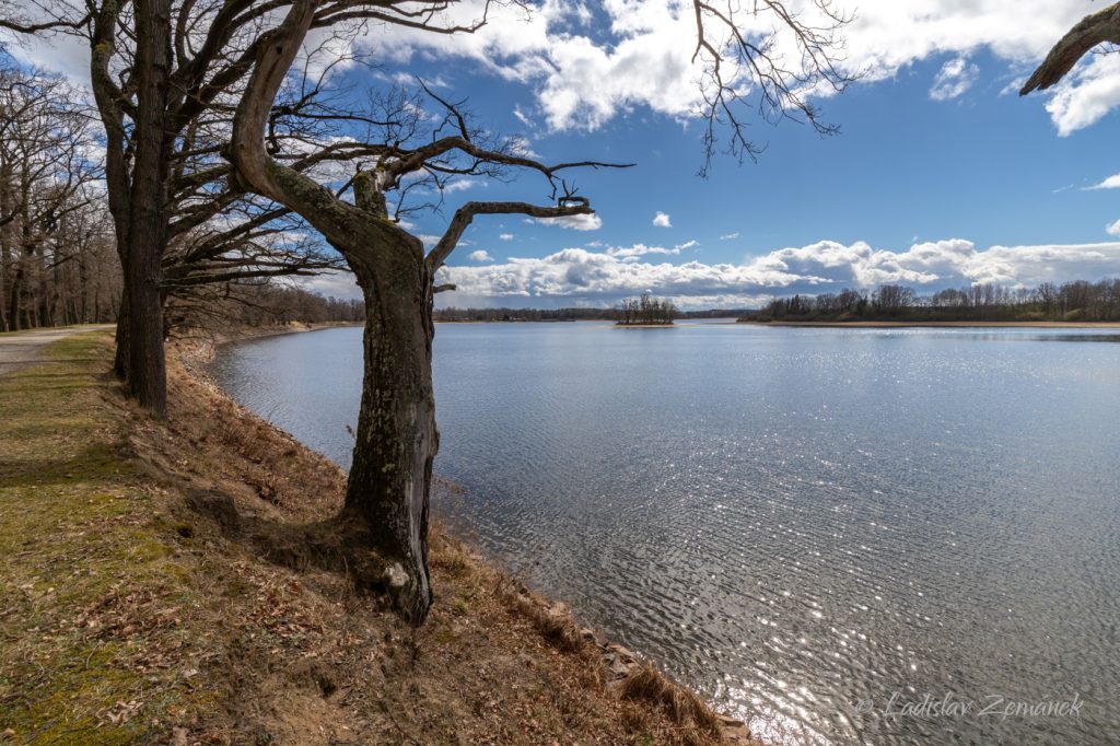 Třeboň - Opatovický rybník