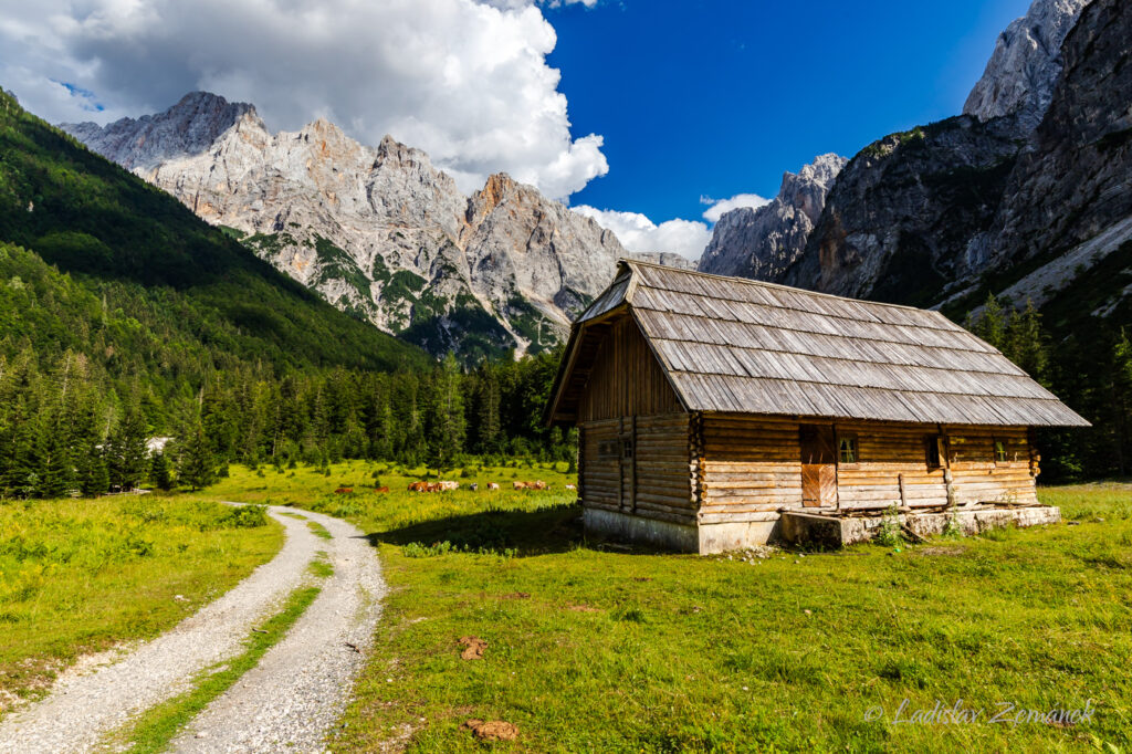 Kranjska Gora - pastvina